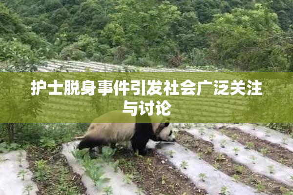 护士脱身事件引发社会广泛关注与讨论
