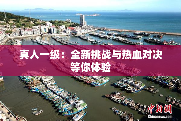 真人一级：全新挑战与热血对决等你体验