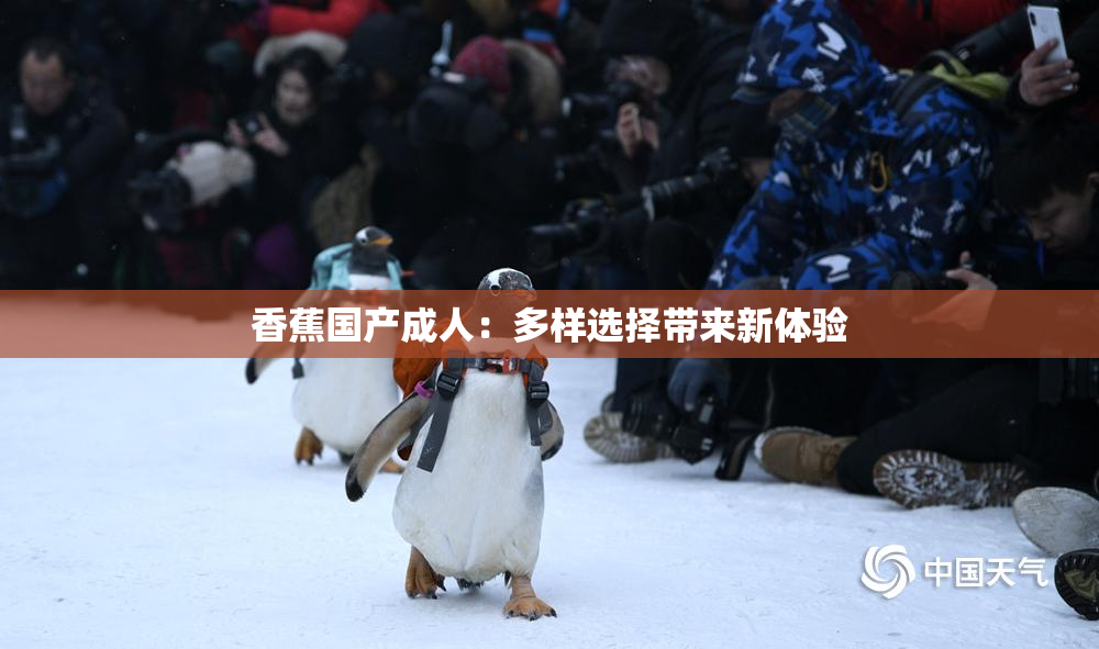香蕉国产成人：多样选择带来新体验