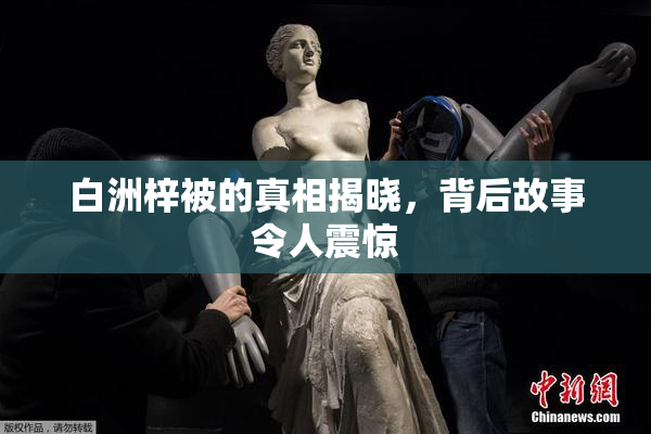 白洲梓被的真相揭晓，背后故事令人震惊