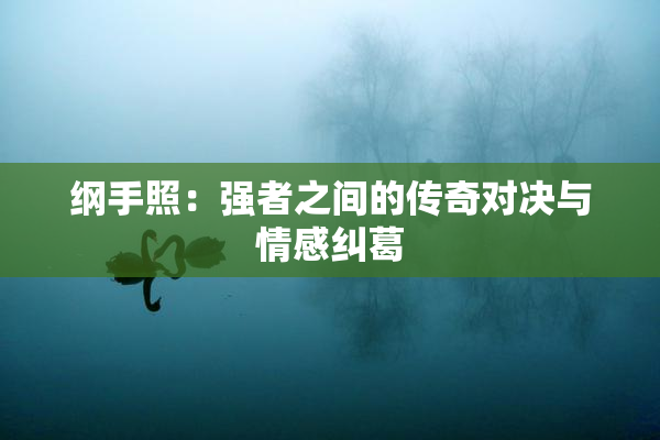 纲手照：强者之间的传奇对决与情感纠葛