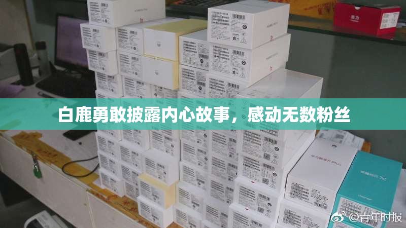 白鹿勇敢披露内心故事，感动无数粉丝