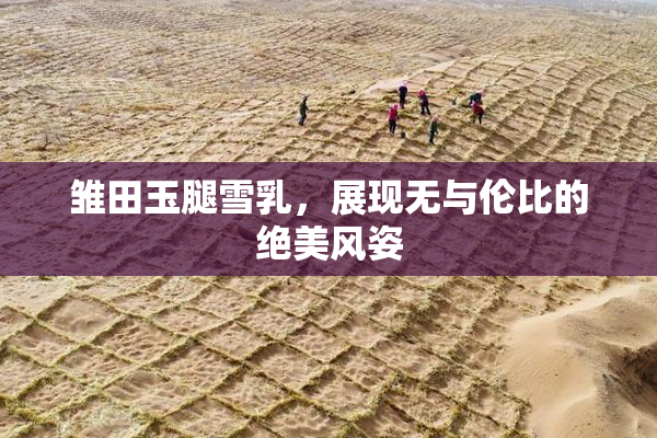 雏田玉腿雪乳，展现无与伦比的绝美风姿