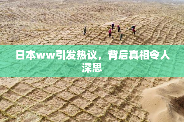 日本ww引发热议，背后真相令人深思