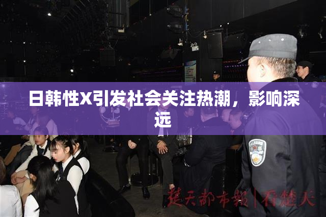 日韩性X引发社会关注热潮，影响深远