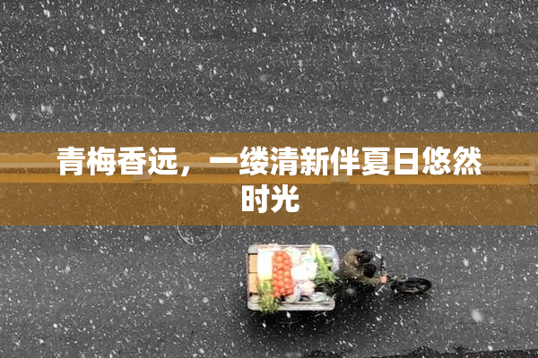 青梅香远，一缕清新伴夏日悠然时光