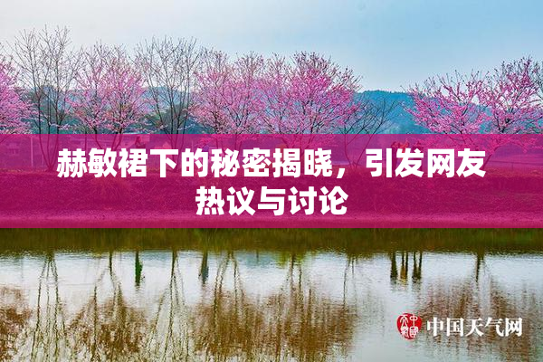 赫敏裙下的秘密揭晓，引发网友热议与讨论