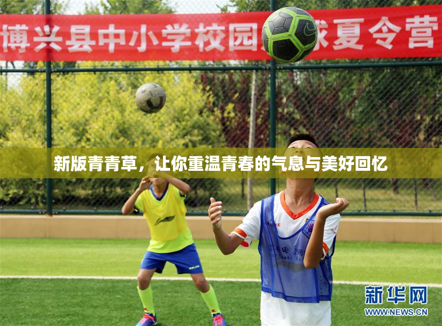 新版青青草，让你重温青春的气息与美好回忆