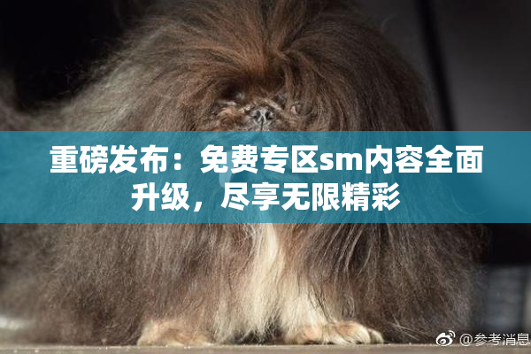 重磅发布：免费专区sm内容全面升级，尽享无限精彩
