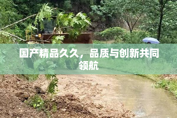 国产精品久久，品质与创新共同领航