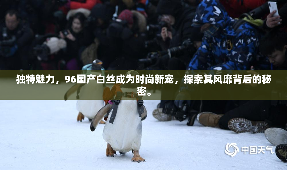 独特魅力，96国产白丝成为时尚新宠，探索其风靡背后的秘密。