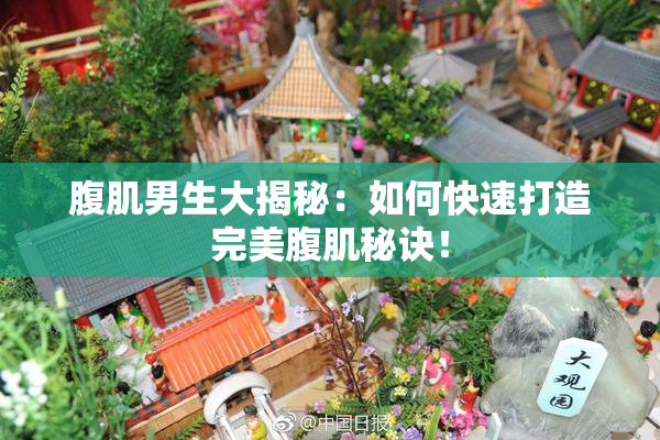 腹肌男生大揭秘：如何快速打造完美腹肌秘诀！