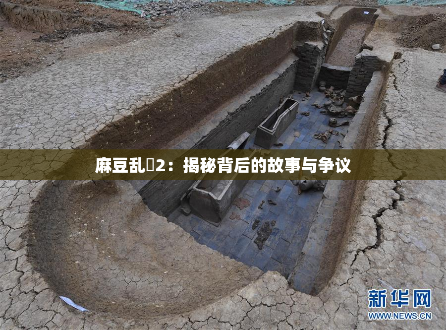 麻豆乱婬2：揭秘背后的故事与争议