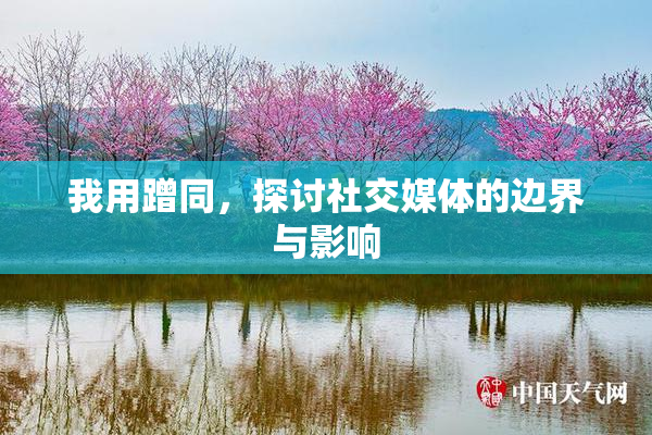 我用蹭同，探讨社交媒体的边界与影响
