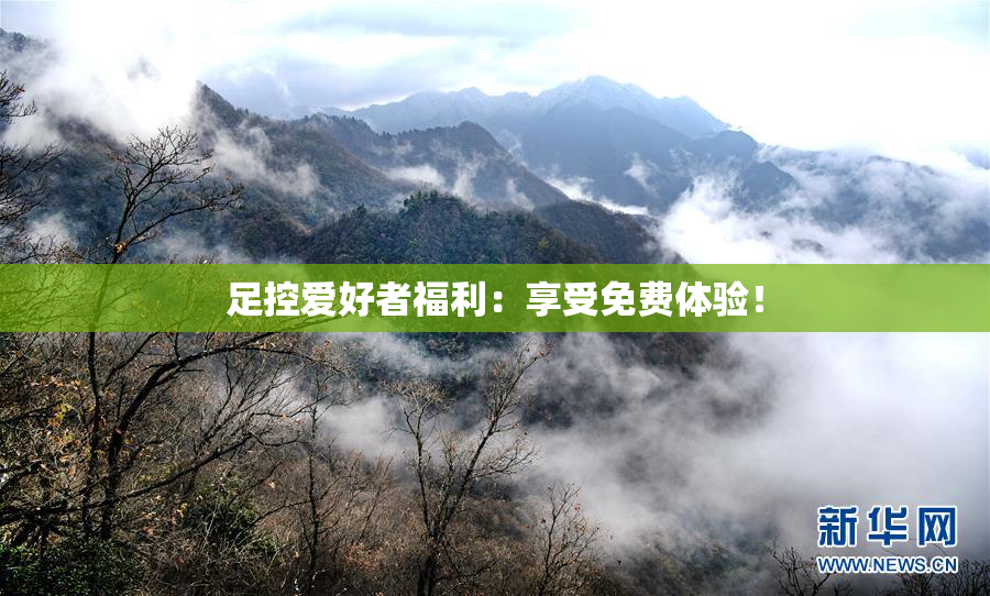 足控爱好者福利：享受免费体验！