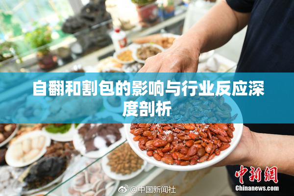 自翻和割包的影响与行业反应深度剖析