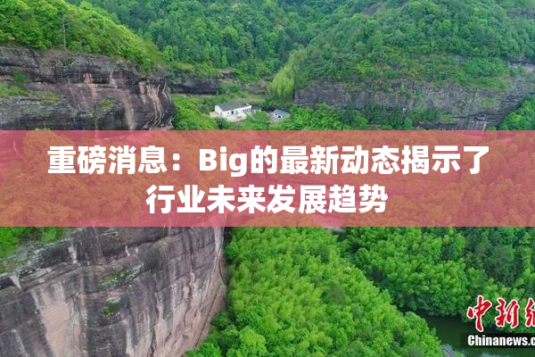 重磅消息：Big的最新动态揭示了行业未来发展趋势