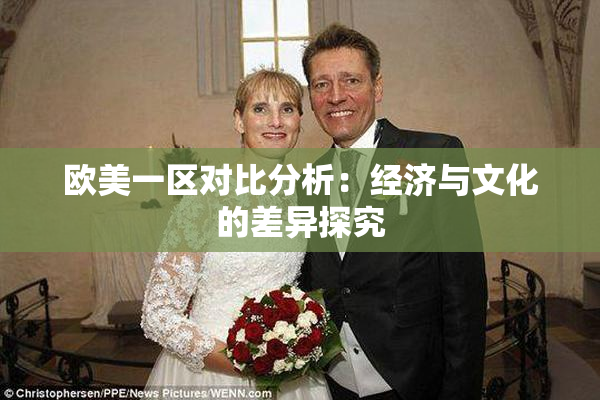 欧美一区对比分析：经济与文化的差异探究