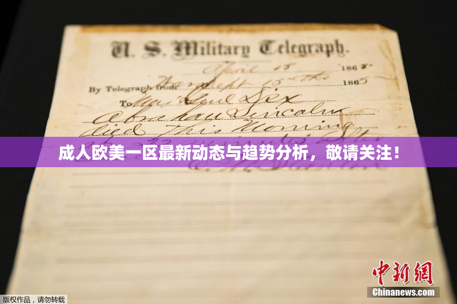 成人欧美一区最新动态与趋势分析，敬请关注！