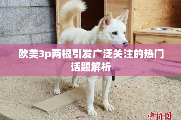 欧美3p两根引发广泛关注的热门话题解析