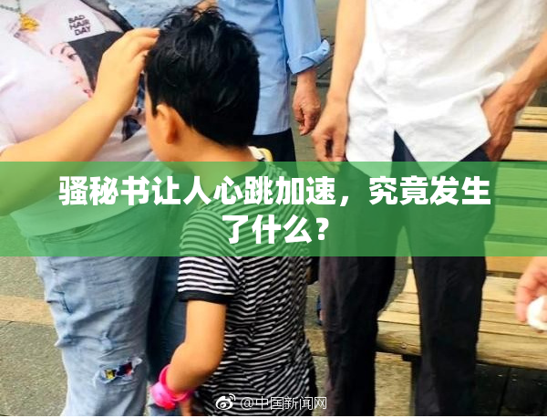 骚秘书让人心跳加速，究竟发生了什么？