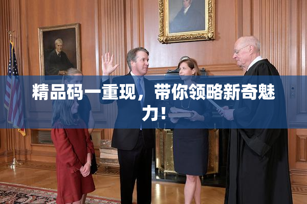 精品码一重现，带你领略新奇魅力！