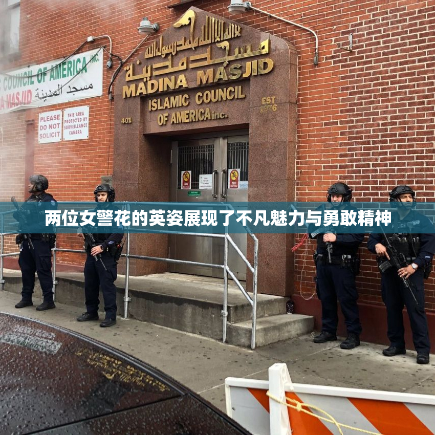 两位女警花的英姿展现了不凡魅力与勇敢精神