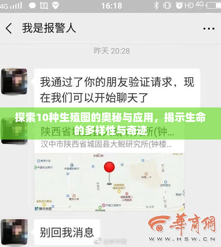 探索10种生殖图的奥秘与应用，揭示生命的多样性与奇迹