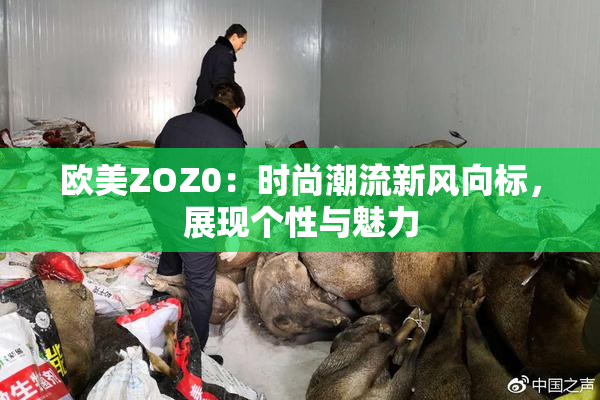 欧美ZOZ0：时尚潮流新风向标，展现个性与魅力