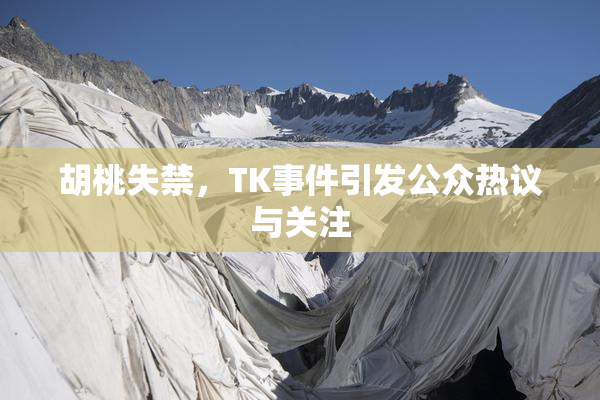 胡桃失禁，TK事件引发公众热议与关注