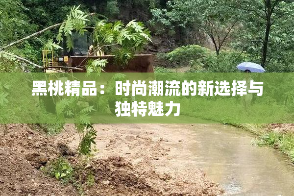 黑桃精品：时尚潮流的新选择与独特魅力
