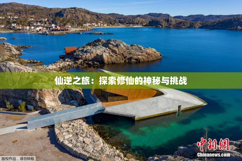 仙逆之旅：探索修仙的神秘与挑战