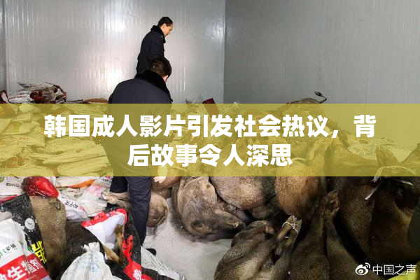 韩国成人影片引发社会热议，背后故事令人深思