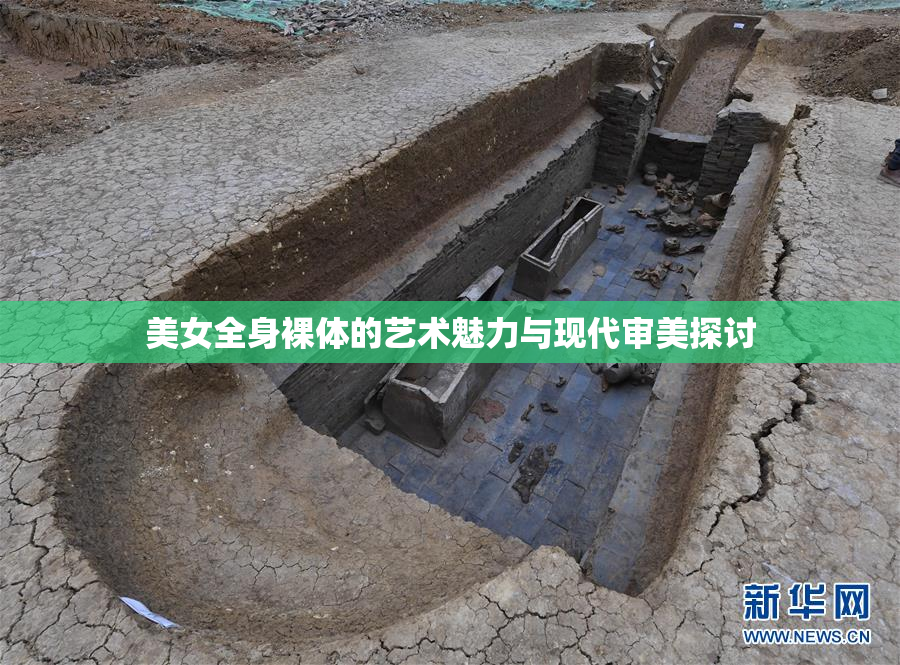 美女全身裸体的艺术魅力与现代审美探讨