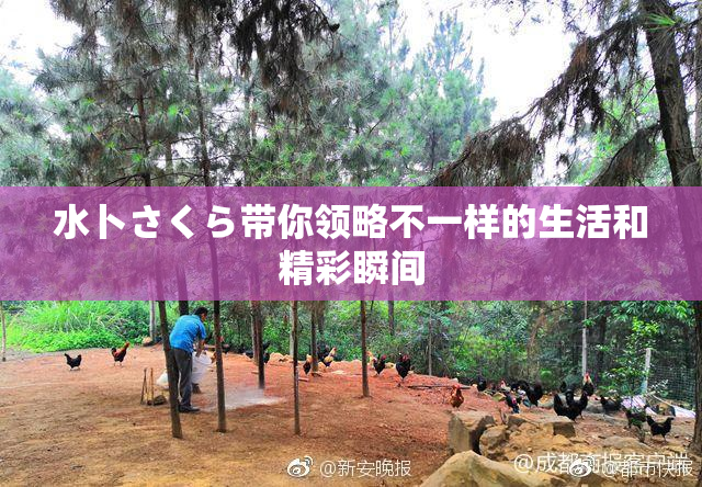 水卜さくら带你领略不一样的生活和精彩瞬间