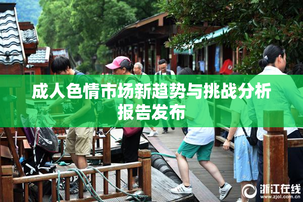 成人色情市场新趋势与挑战分析报告发布