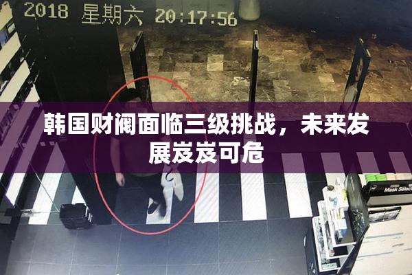 韩国财阀面临三级挑战，未来发展岌岌可危