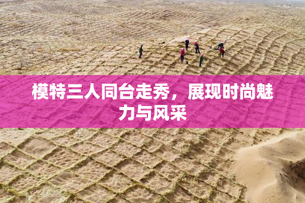 模特三人同台走秀，展现时尚魅力与风采