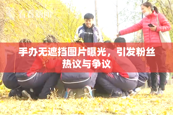手办无遮挡图片曝光，引发粉丝热议与争议