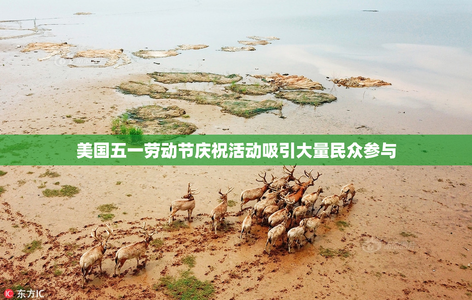 美国五一劳动节庆祝活动吸引大量民众参与