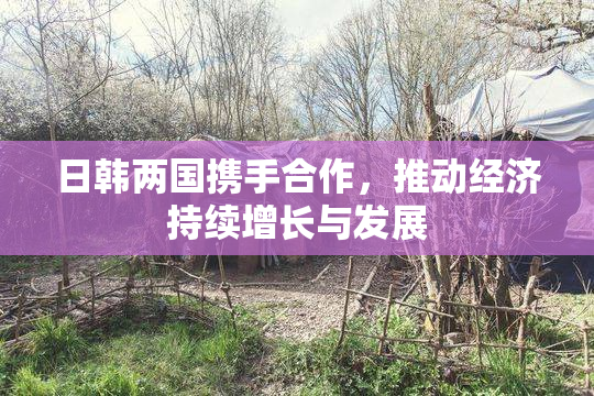 日韩两国携手合作，推动经济持续增长与发展