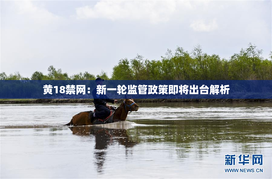 黄18禁网：新一轮监管政策即将出台解析