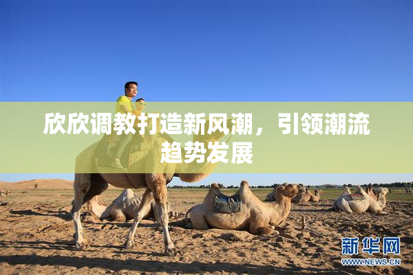 欣欣调教打造新风潮，引领潮流趋势发展
