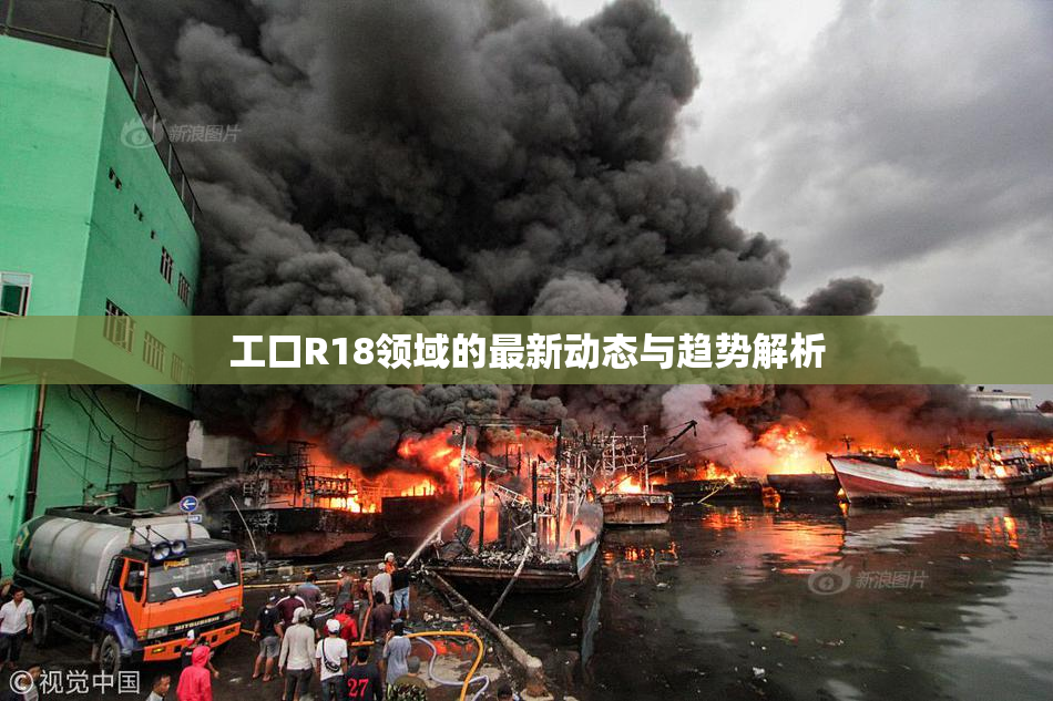 工口R18领域的最新动态与趋势解析