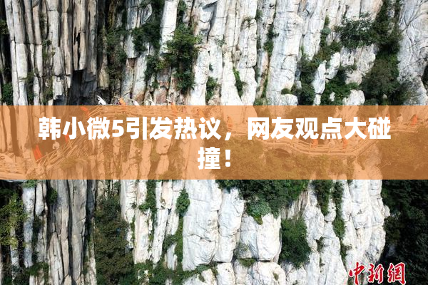 韩小微5引发热议，网友观点大碰撞！