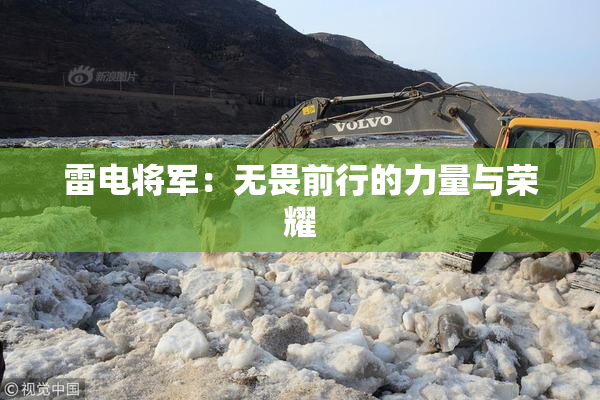 雷电将军：无畏前行的力量与荣耀