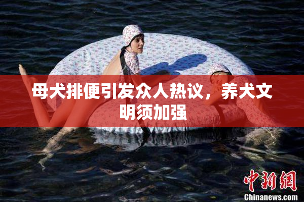 母犬排便引发众人热议，养犬文明须加强