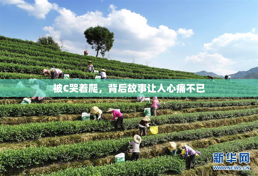 被C哭着爬，背后故事让人心痛不已