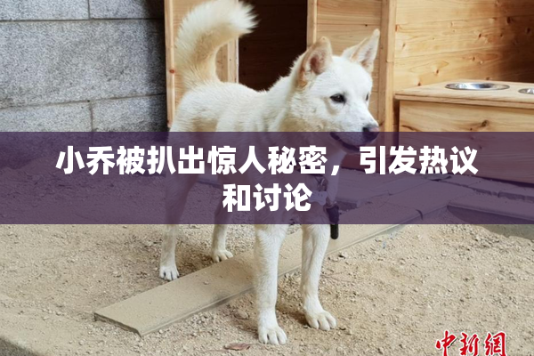 小乔被扒出惊人秘密，引发热议和讨论