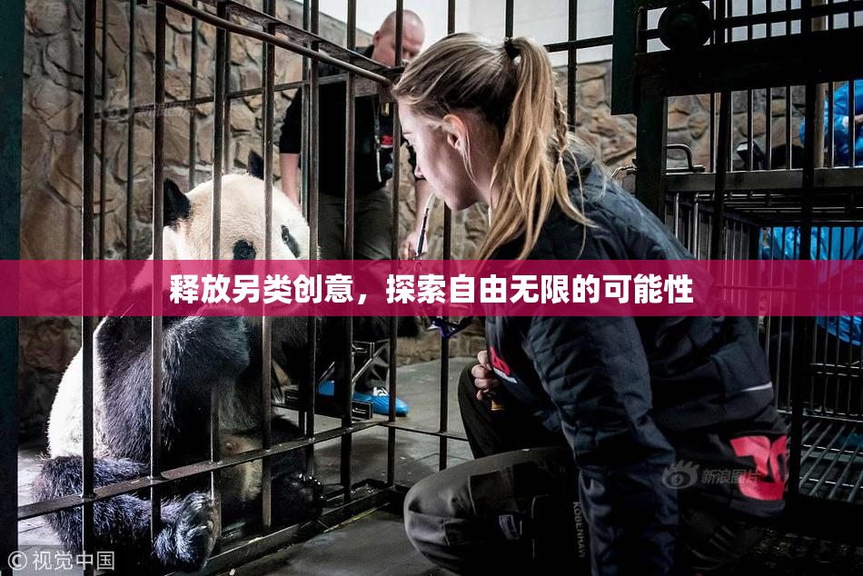 释放另类创意，探索自由无限的可能性